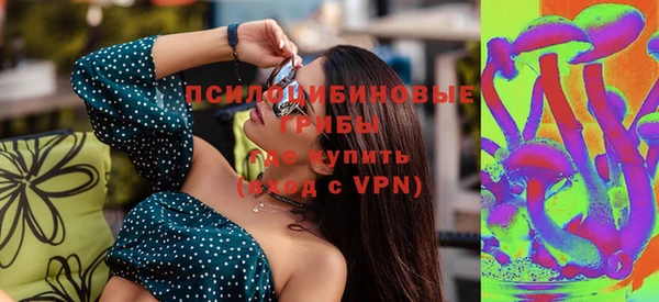 прущие грибы Михайловск