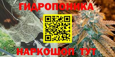 mdpv Гусев