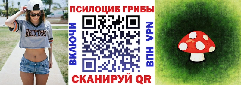 Галлюциногенные грибы ЛСД  дарк нет клад  Ногинск 