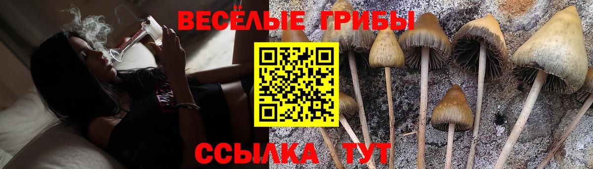 Галлюциногенные грибы ЛСД Ногинск