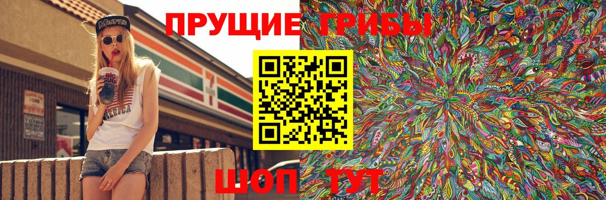 Ногинск  Галлюциногенные грибы Psilocybine cubensis  Вход с VPN  Псилоцибиновые грибы Psilocybine cubensis 