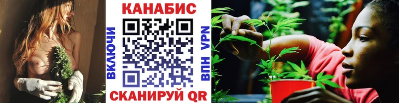 Конопля ГИДРОПОН Ногинск