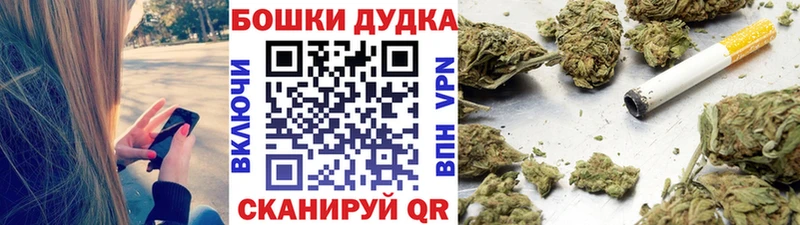 Каннабис семена  blacksprut как войти  Ногинск 